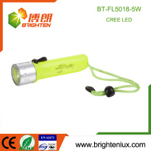Factory Wholesale Plastic Material Super Bright Emergency Usage Dive Cree 5W Flashlight Waterproof Diving Torch Led